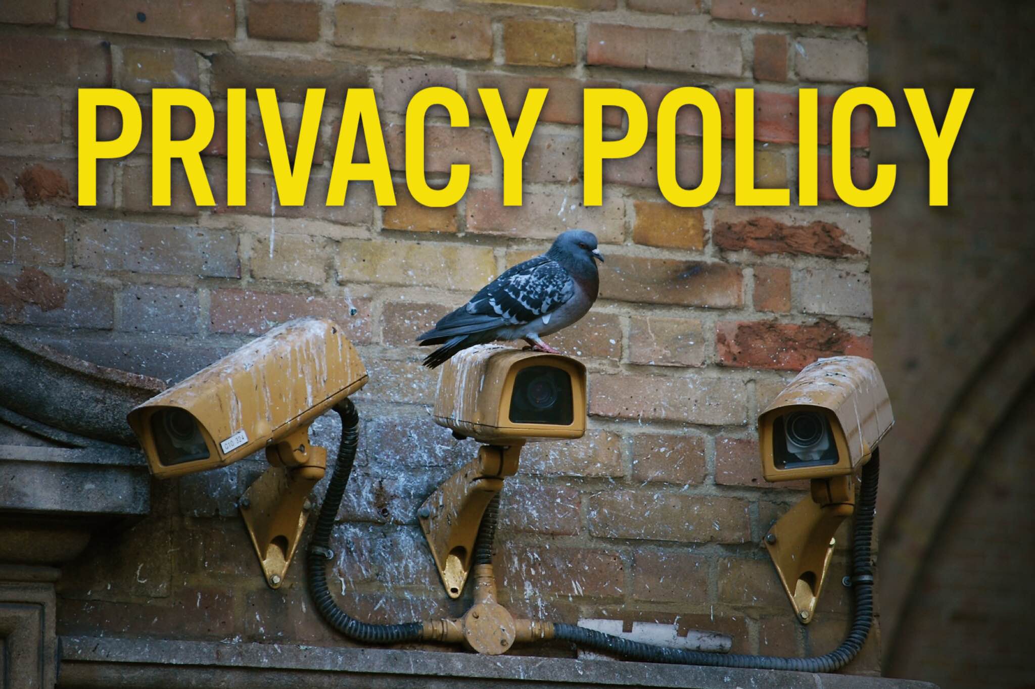 privacy policy