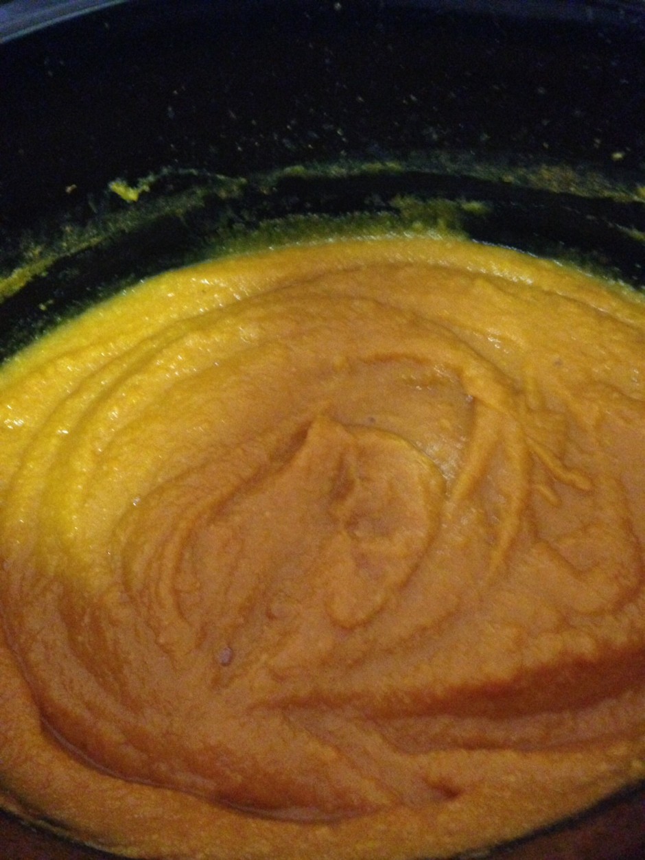 Fruit & Veg Baby Food Slow Cooker Central