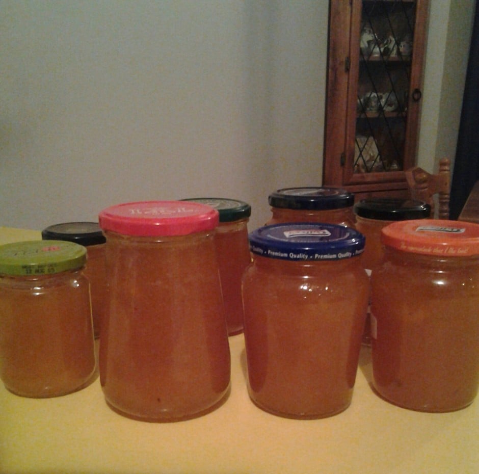 APRICOT JAM Slow Cooker Central