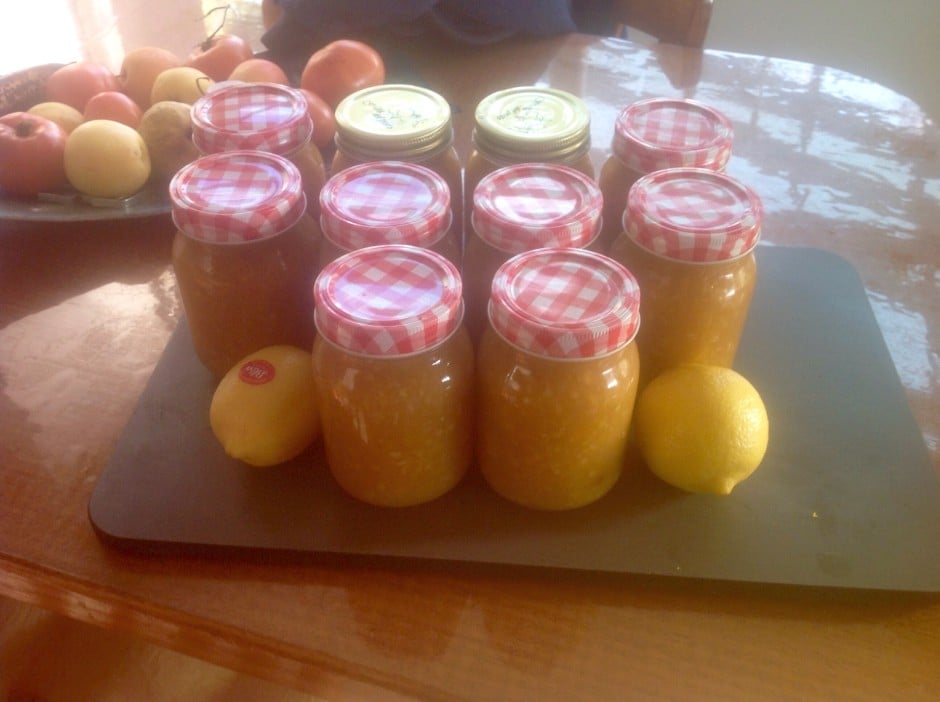 Orange Marmalade | Slow Cooker Central