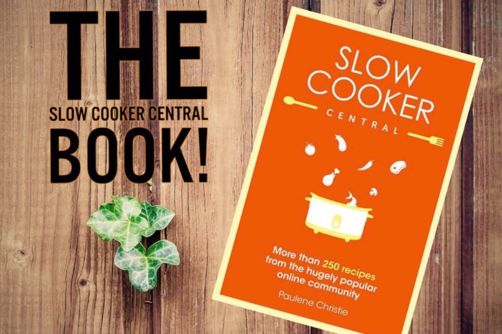 slow cooker central book 1