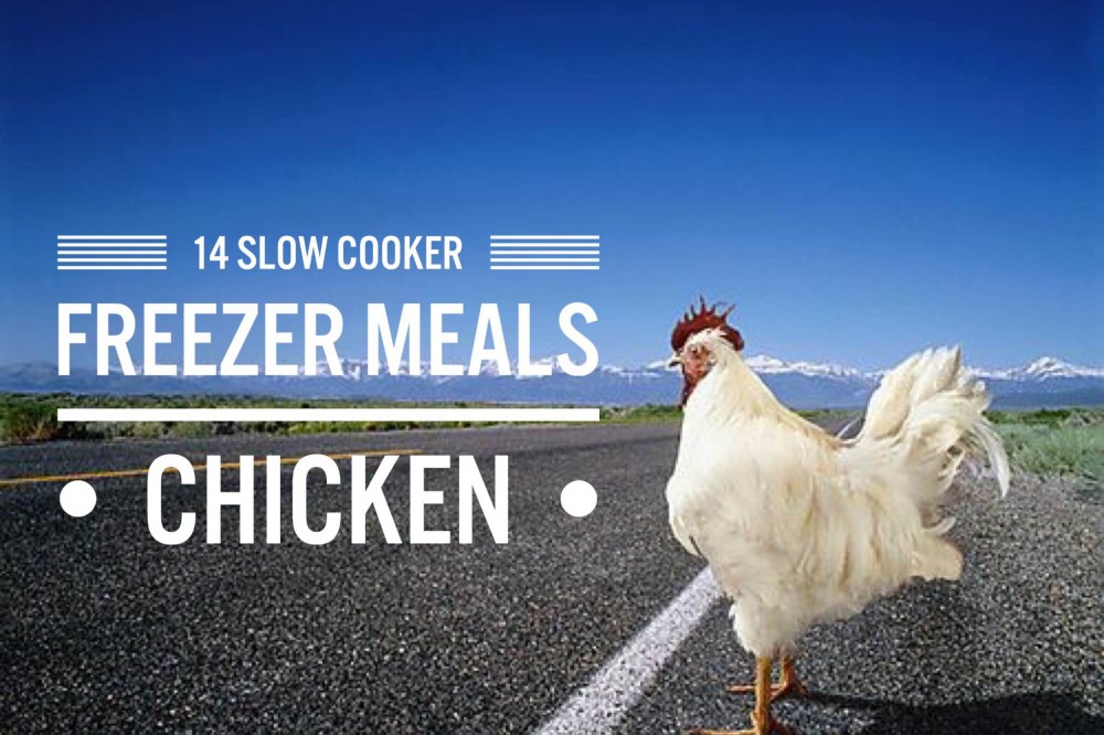 Winner Winner Chicken Dinner - 14 Slow Cooked Chicken Freezer Meals