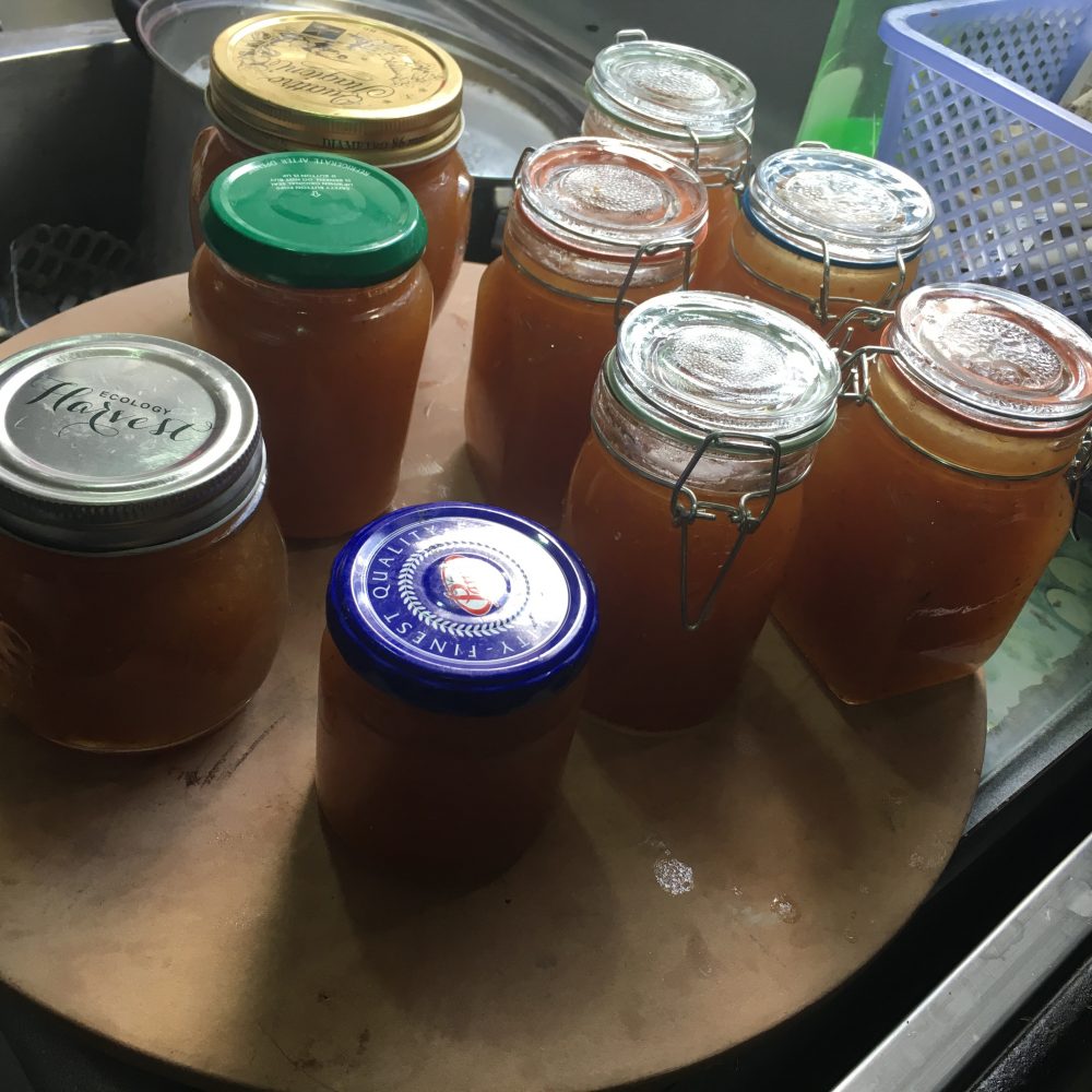 Feijoa jam Slow Cooker Central